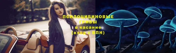 метадон Арсеньев