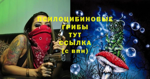 кокс Аркадак